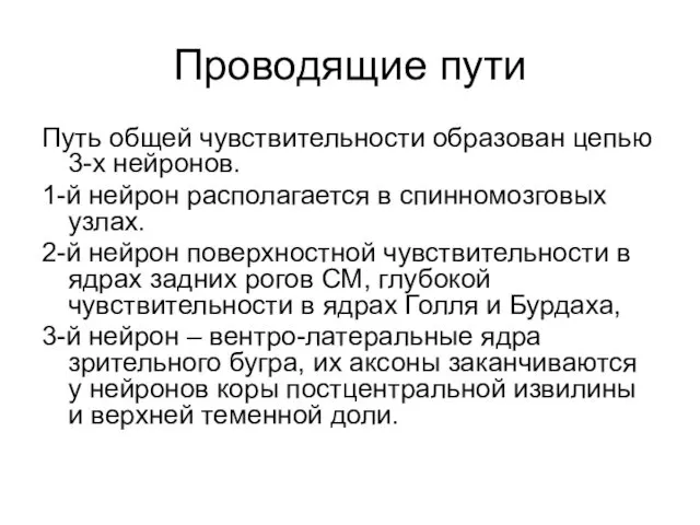 Проводящие пути Путь общей чувствительности образован цепью 3-х нейронов. 1-й нейрон