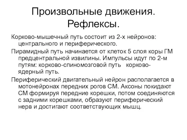 Произвольные движения. Рефлексы. Корково-мышечный путь состоит из 2-х нейронов: центрального и