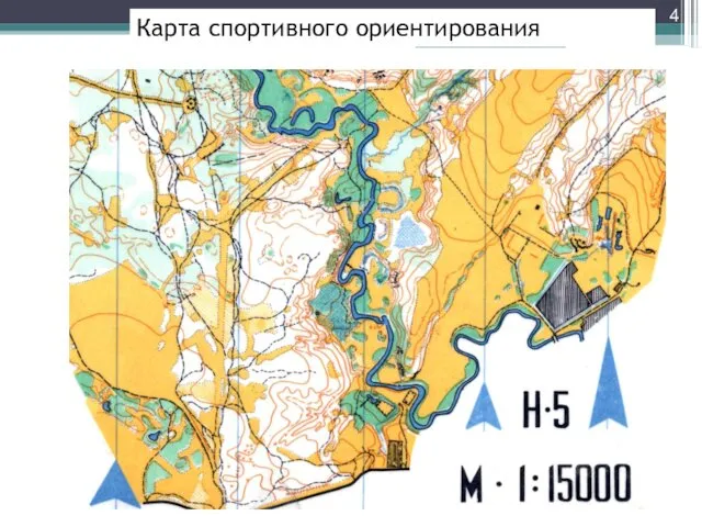 Карта спортивного ориентирования