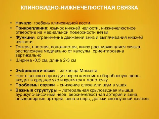 КЛИНОВИДНО-НИЖНЕЧЕЛЮСТНАЯ СВЯЗКА Начало: гребень клиновидной кости. Прикрепление: язычок нижней челюсти, нижнечелюстное