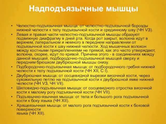 Надподъязычные мышцы Челюстно-подъязычная мышца: от челюстно-подъязычной борозды нижней челюсти к телу