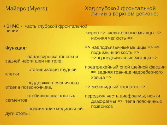 Майерс (Муеrs): ВНЧС - часть глубокой фронтальной линии Функция: - балансировка