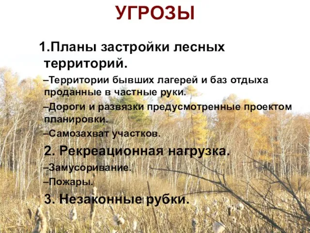 Планы застройки лесных территорий. Территории бывших лагерей и баз отдыха проданные