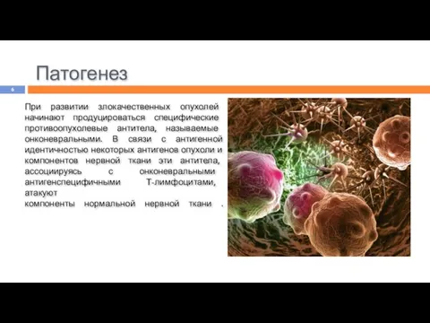 Патогенез При развитии злокачественных опухолей начинают продуцироваться специфические противоопухолевые антитела, называемые
