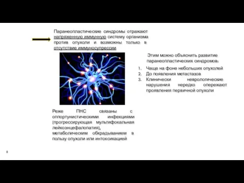 Паранеопластические синдромы отражают напряженную иммунную систему организма против опухоли и возможны