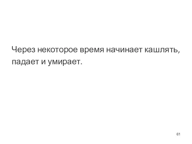 Через некоторое время начинает кашлять, падает и умирает.