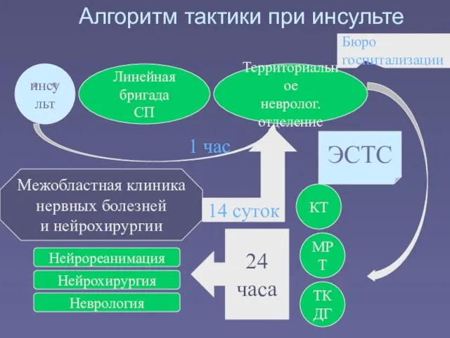 Алгоритм тактики при инсульте инсульт Линейная бригада СП Территориальное невролог. отделение