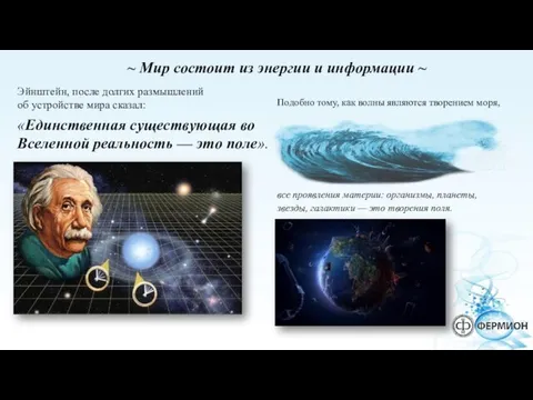 все проявления материи: организмы, планеты, звезды, галактики — это творения поля.