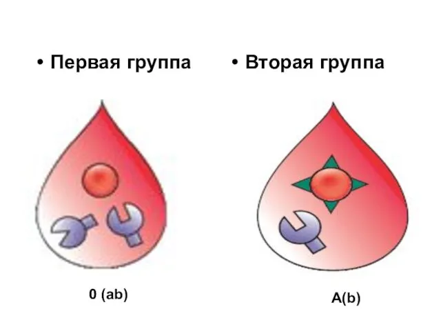 Первая группа Вторая группа 0 (ab) А(b)