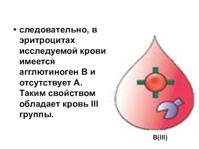 следовательно, в эритроцитах исследуемой крови имеется агглютиноген В и отсутствует А.