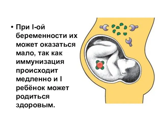 При I-ой беременности их может оказаться мало, так как иммунизация происходит