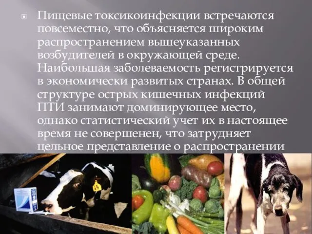 Пищевые токсикоинфекции встречаются повсеместно, что объясняется широким распространением вышеуказанных возбудителей в