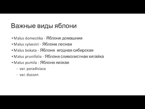 Важные виды яблони Malus domestika - Яблоня домашняя Malus sylvestri -