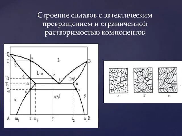 Строение сплавов с эвтектическим превращением и ограниченной растворимостью компонентов