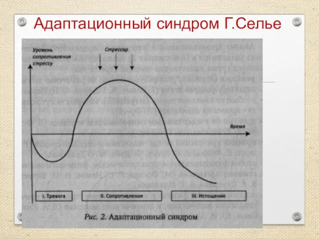 Адаптационный синдром Г.Селье