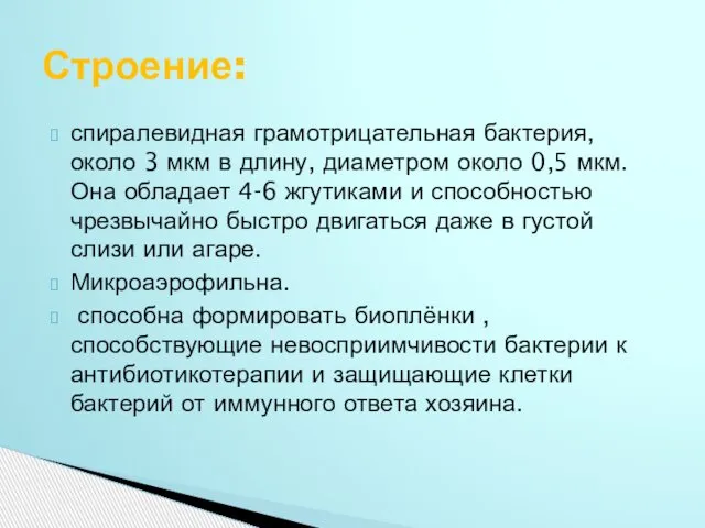 спиралевидная грамотрицательная бактерия, около 3 мкм в длину, диаметром около 0,5