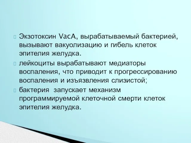 Экзотоксин VacA, вырабатываемый бактерией, вызывают вакуолизацию и гибель клеток эпителия желудка.