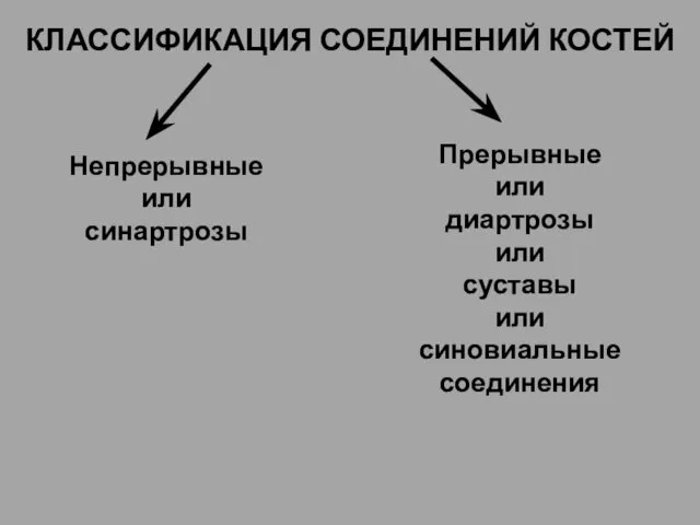 КЛАССИФИКАЦИЯ СОЕДИНЕНИЙ КОСТЕЙ Непрерывные или синартрозы Прерывные или диартрозы или суставы или синовиальные соединения