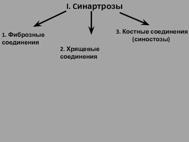 I. Cинартрозы 1. Фиброзные соединения 3. Костные соединения (синостозы) 2. Хрящевые соединения