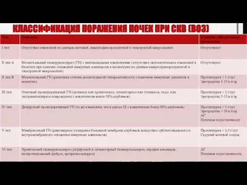 КЛАССИФИКАЦИЯ ПОРАЖЕНИЯ ПОЧЕК ПРИ СКВ (ВОЗ)