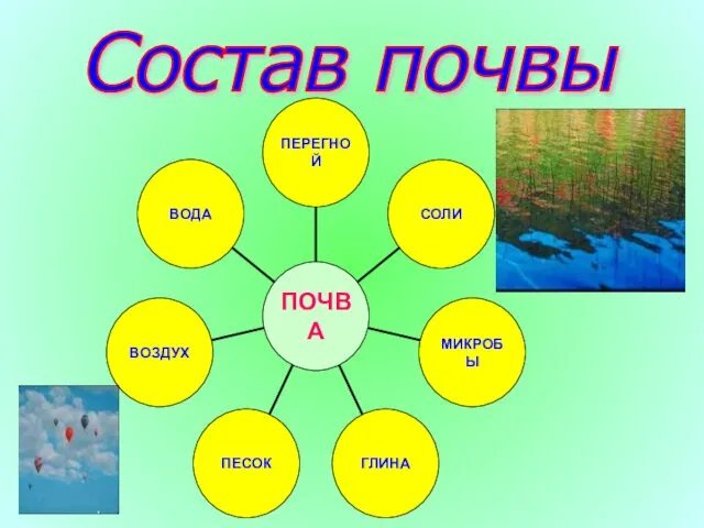 Состав почвы