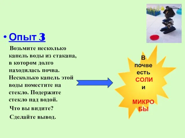 Опыт 3 Возьмите несколько капель воды из стакана, в котором долго