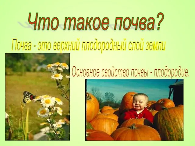 Что такое почва? Почва - это верхний плодородный слой земли Основное свойство почвы - плодородие.