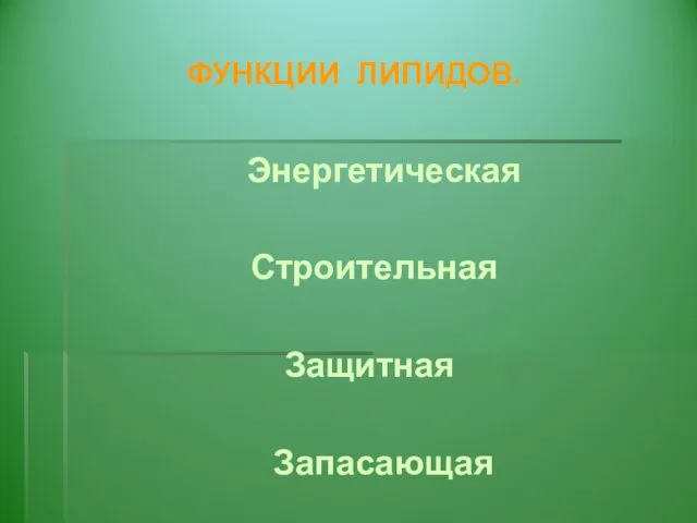 ФУНКЦИИ ЛИПИДОВ. Энергетическая Строительная Защитная Запасающая