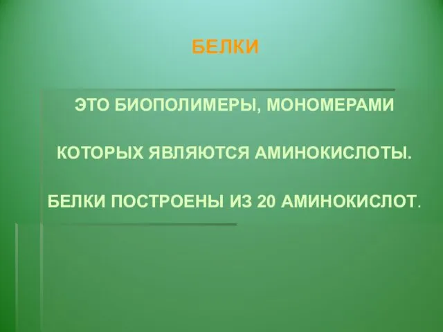 БЕЛКИ ЭТО БИОПОЛИМЕРЫ, МОНОМЕРАМИ КОТОРЫХ ЯВЛЯЮТСЯ АМИНОКИСЛОТЫ. БЕЛКИ ПОСТРОЕНЫ ИЗ 20 АМИНОКИСЛОТ.