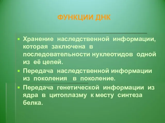 ФУНКЦИИ ДНК Хранение наследственной информации, которая заключена в последовательности нуклеотидов одной