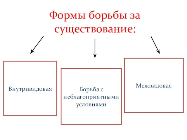 Формы борьбы за существование: Внутривидовая Межвидовая Борьба с неблагоприятными условиями