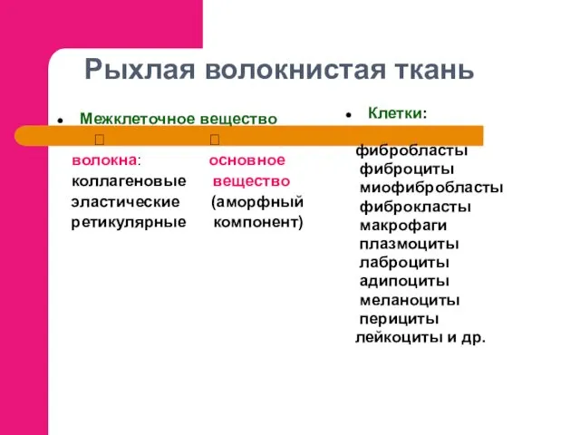 Рыхлая волокнистая ткань Межклеточное вещество ? ? волокна: основное коллагеновые вещество