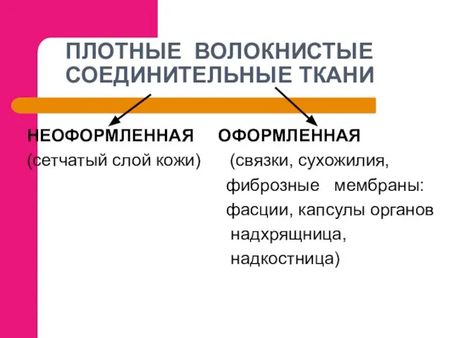 ПЛОТНЫЕ ВОЛОКНИСТЫЕ СОЕДИНИТЕЛЬНЫЕ ТКАНИ НЕОФОРМЛЕННАЯ ОФОРМЛЕННАЯ (сетчатый слой кожи) (связки, сухожилия,