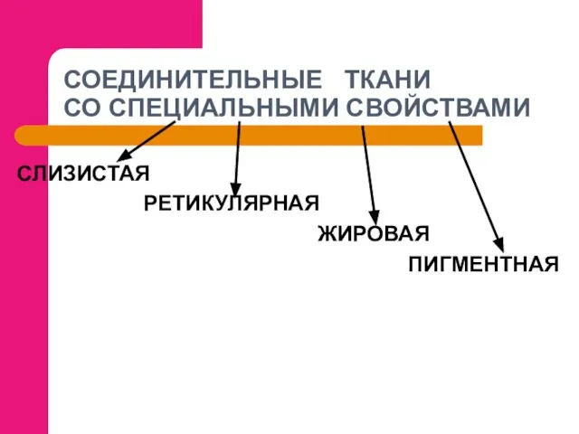 СОЕДИНИТЕЛЬНЫЕ ТКАНИ СО СПЕЦИАЛЬНЫМИ СВОЙСТВАМИ СЛИЗИСТАЯ РЕТИКУЛЯРНАЯ ЖИРОВАЯ ПИГМЕНТНАЯ