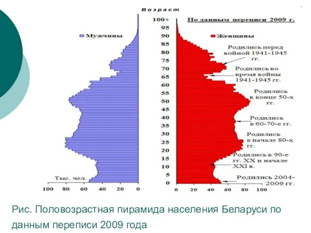 Рис. Половозрастная пирамида населения Беларуси по данным переписи 2009 года