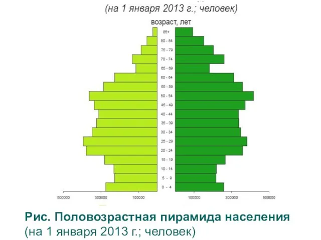 Рис. Половозрастная пирамида населения (на 1 января 2013 г.; человек)