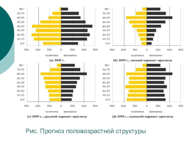 Рис. Прогноз половозрастной структуры