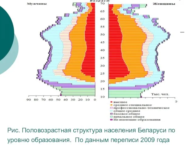 Рис. Половозрастная структура населения Беларуси по уровню образования. По данным переписи 2009 года