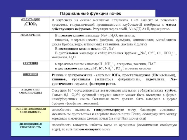 Парциальные функции почек