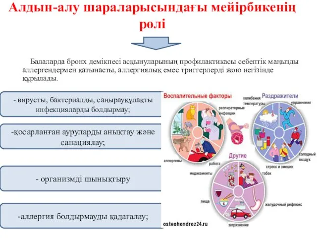 Алдын-алу шараларысындағы мейірбикенің рөлі Балаларда бронх демікпесі асқынуларының профилактикасы себептік маңызды