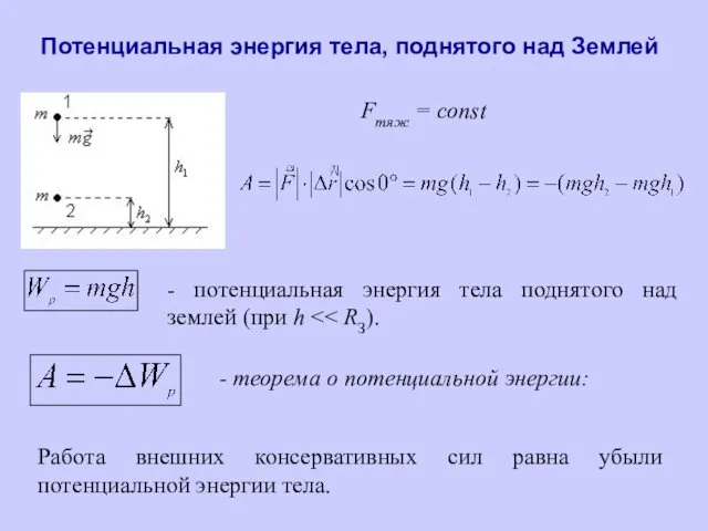 Потенциальная энергия тела, поднятого над Землей Fтяж = const - потенциальная