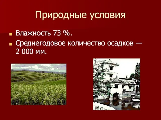 Природные условия Влажность 73 %. Среднегодовое количество осадков — 2 000 мм.