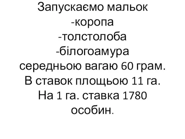 Запускаємо мальок -коропа -толстолоба -білогоамура середньою вагаю 60 грам. В ставок