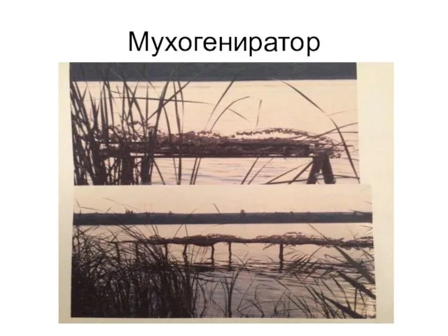 Мухогениратор