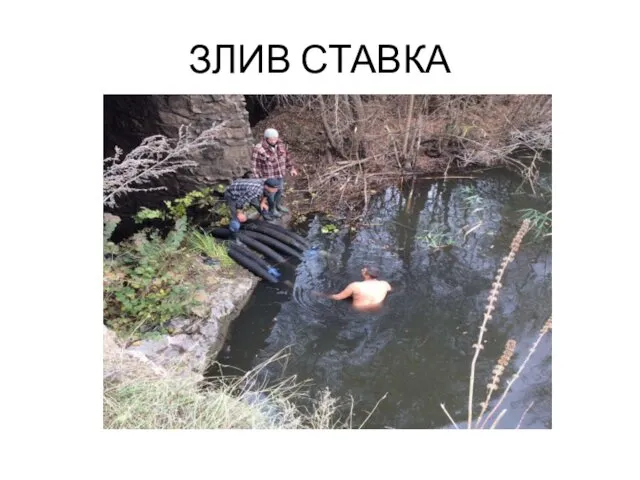 ЗЛИВ СТАВКА