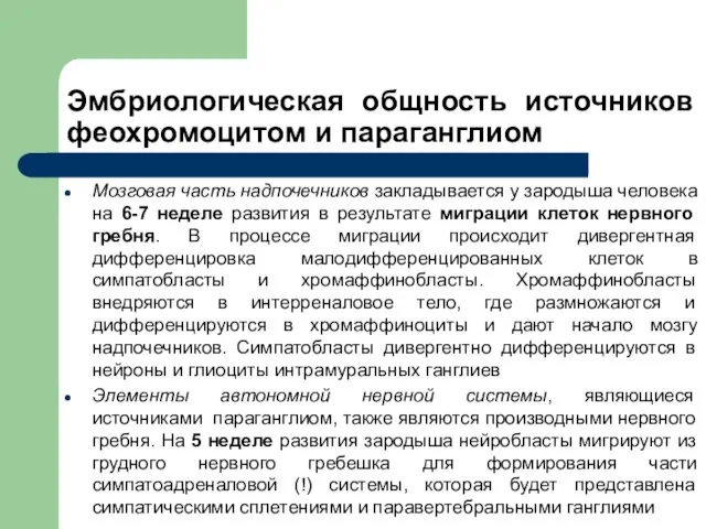 Мозговая часть надпочечников закладывается у зародыша человека на 6-7 неделе развития