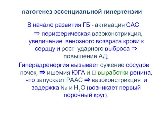 патогенез эссенциальной гипертензии В начале развития ГБ - активация САС ⇒