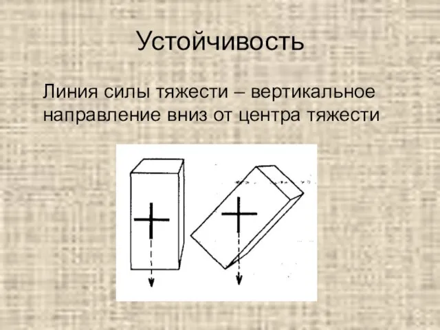 Устойчивость Линия силы тяжести – вертикальное направление вниз от центра тяжести