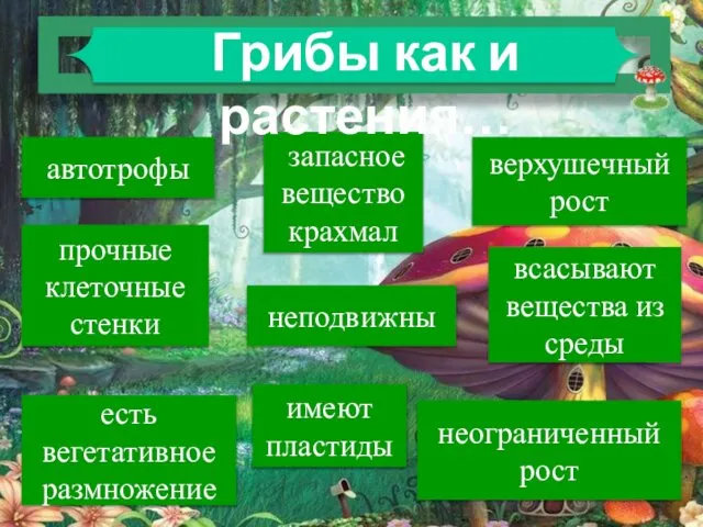 автотрофы верхушечный рост запасное вещество крахмал прочные клеточные стенки неподвижны есть