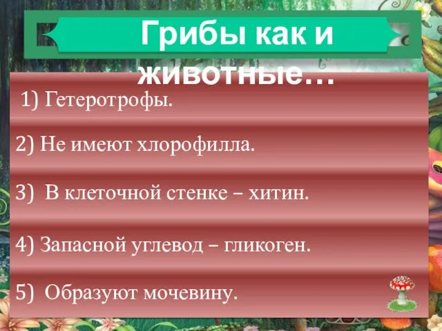 1) Гетеротрофы. 2) Не имеют хлорофилла. 3) В клеточной стенке –